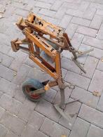 Schoffels, Ophalen, Bloeit niet, Halfschaduw, Overige soorten