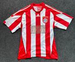 FC Bayern München shirt 2010/11, Maat M, Ophalen of Verzenden, Gebruikt, Shirt