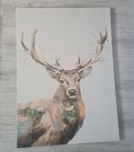 Canvas hert 70x50, Ophalen