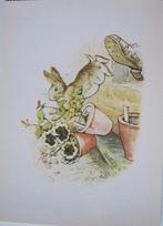 Beatrix Potter - tale of Peter Rabbit - 1920, Ophalen of Verzenden, 1980 tot heden, Ongelopen, Overige thema's