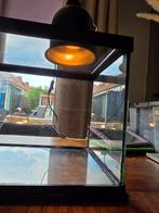 ZooMed aquarium/terrarium oa voor schildpadden 76x30x30, Ophalen, Zo goed als nieuw, Terrarium of Paludarium