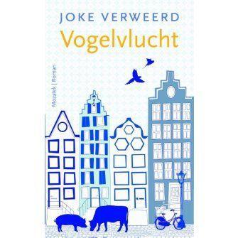 Vogelvlucht / Joke Verweerd., Boeken, Godsdienst en Theologie, Zo goed als nieuw, Christendom | Protestants, Ophalen of Verzenden