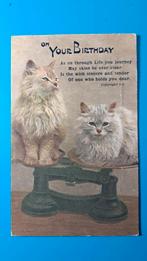 Katten poesen op weegschaal - on your birthday 1920, Ophalen of Verzenden, Voor 1920, Gelopen, Hond of Kat