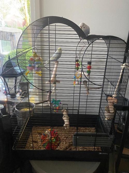 Vogelkooi zwart groot nieuwstaat !, Dieren en Toebehoren, Vogels | Hokken en Kooien, Nieuw, Vogelkooi, Metaal, Ophalen