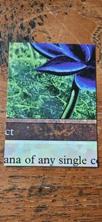 Black Lotus Puzzle Card V5, Ophalen of Verzenden, Zo goed als nieuw, Losse kaart
