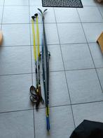 Langlaufskies Fischer. Klassieke ski met skubben, Ophalen, 160 tot 180 cm, Zo goed als nieuw, Ski's