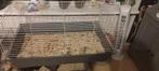 Konijnen / cavia kooi, Minder dan 60 cm, Kooi, Ophalen of Verzenden, Zo goed als nieuw