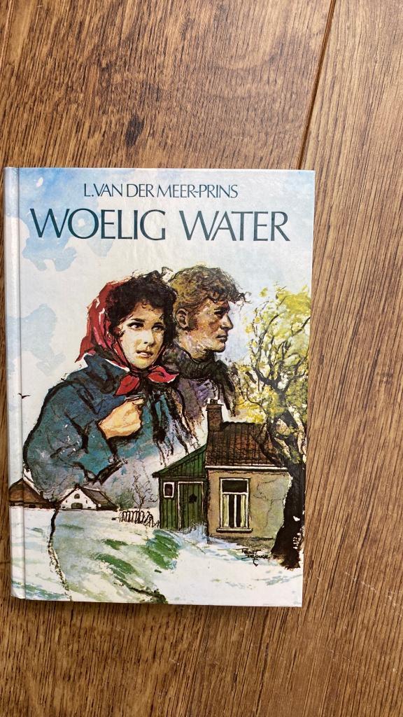 woelig water, Boeken, Streekboeken en Streekromans, Nieuw, Noord-Brabant, Ophalen of Verzenden