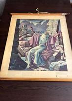 Schoolplaat 78 cm hoog en 65 breed, Ophalen of Verzenden, Natuur en Biologie