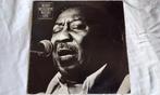 Muddy Waters Muddy Mississippi Waters Live Lp 1979, Gebruikt, 1980 tot heden, Ophalen of Verzenden, 12 inch