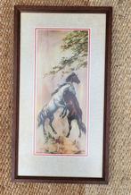 Vintage/Paard/Paarden/Schilderij, Antiek en Kunst, Kunst | Tekeningen en Foto's, Ophalen of Verzenden