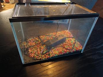 Klein aquarium Aquakit 18  beschikbaar voor biedingen