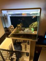 Superfish home 80 met meubel, Dieren en Toebehoren, Vissen | Aquaria en Toebehoren, Ophalen, Zo goed als nieuw, Gevuld zoetwateraquarium