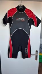 Pegaso Heren wetsuit 3mm, maat L, Watersport en Boten, Watersportkleding, Wetsuit, Gebruikt, Heer, Ophalen of Verzenden