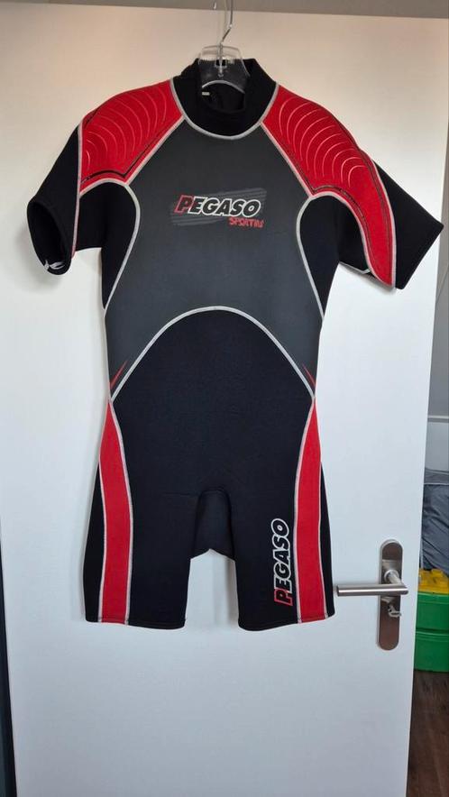 Pegaso Heren wetsuit 3mm, maat L, Watersport en Boten, Watersportkleding, Gebruikt, Wetsuit, Heer, Ophalen of Verzenden