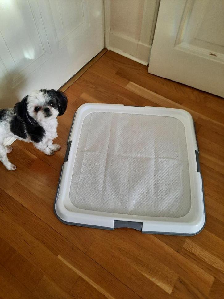 trainingsmat voor honden, Dieren en Toebehoren, Honden-accessoires, Nieuw, Ophalen