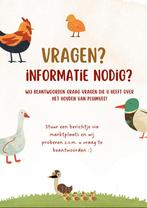 VRAGEN OVER HET HOUDEN VAN PLUIMVEE?, Ophalen, Nieuw, Drinken en Voederen