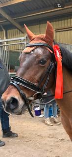 Kentucky Horsewear Pony oornetje 1x gebruikt maat pony, Dieren en Toebehoren, Ophalen of Verzenden, Zo goed als nieuw, Overige soorten