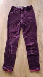 Eurostar aubergine kleurige paardrijbroek, ribstof, mt 176, Gebruikt, Ophalen of Verzenden, Dames, Onderkleding