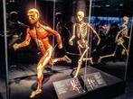 2 Tickets Body Worlds Amsterdam, Ophalen
