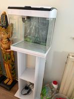 Superfish panorama Aquarium 35 liter, Ophalen, Zo goed als nieuw, Leeg aquarium