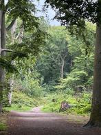 TUIN Stenen en Tegels nogal zwaar conditie Gratis Weghalen!, Ophalen of Verzenden, Halfschaduw