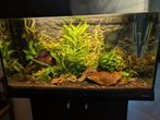 Ferplast Dubai 80 aquarium inclusief meubel 125 liter, Dieren en Toebehoren, Ophalen, Gebruikt, Leeg aquarium