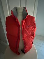 Heren bodywarmer rood / oranje L Tommy Hilfiger, Maat 52/54 (L), Tommy Hilfiger, Ophalen of Verzenden, Zo goed als nieuw
