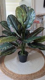 Kunstplant Calathea Groen 90cm, Ophalen
