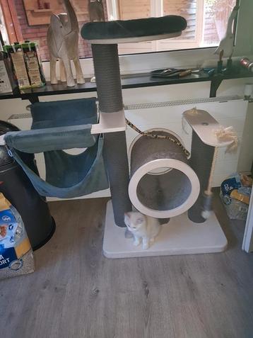 Mooie rufi stevige krabpaal beschikbaar voor biedingen