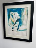 Frank Gude mooie zeefdruk, Antiek en Kunst, Kunst | Litho's en Zeefdrukken, Ophalen