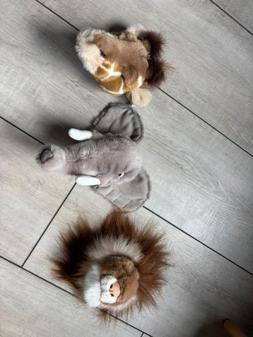 Wild and soft mini dierenkoppen safari beschikbaar voor biedingen