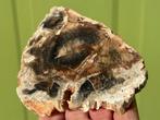 Versteend hout schijf plak dubbel gepolijst mineralen 8, Ophalen of Verzenden, Mineraal