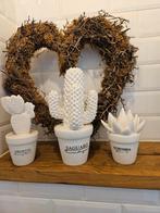Riviera Maison cactussen, Huis en Inrichting, Woonaccessoires | Overige, Ophalen, Zo goed als nieuw