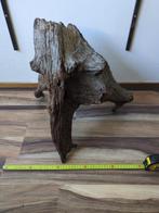 Kienhout groot 50 cm, Dieren en Toebehoren, Ophalen, Zo goed als nieuw, Plant(en), Steen of Hout