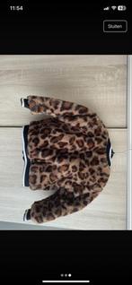 Koko Noko Winterjas Maat 80, Kinderen en Baby's, Babykleding | Maat 80, Meisje, Nieuw, Ophalen of Verzenden, Jasje