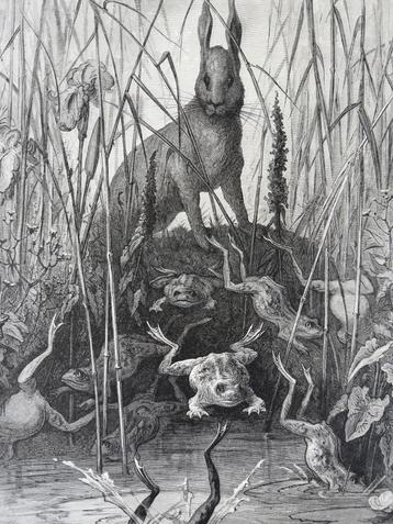 Gustave Doré - Prent Haas en kikkers - Houtgravure, ca. 1890 beschikbaar voor biedingen