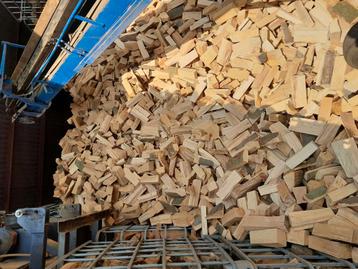 Droog Haardhout, Brandhout, Beuken, Buche beschikbaar voor biedingen