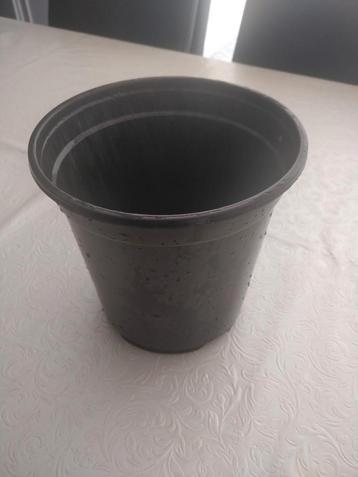 Bloempot, sierpot, plantenpot, plantenbak 2 lt beschikbaar voor biedingen