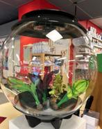 BiOrb air 60 liter terrarium [nieuw] te koop!, Dieren en Toebehoren, Reptielen en Amfibieën | Toebehoren, Ophalen, Nieuw, Terrarium of Paludarium