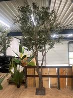 Kunst Olijfboom 4m - Zo Goed Als Nieuw, Huis en Inrichting, Woonaccessoires | Kunstplanten en Kunstbloemen, Ophalen, Zo goed als nieuw