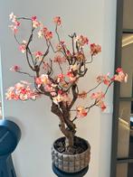 Seta fiori bloesemboom boom bloesem kunst, Huis en Inrichting, Ophalen, Zo goed als nieuw