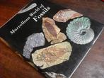 Marvellous world of fossils, Niet van toepassing, Ophalen of Verzenden, Beta, Gelezen