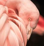 Wandkraft wanddecoratie, Antiek en Kunst, Ophalen