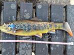 Line thru trout 4d savage gear nieuw  27 cm €12, Ophalen, Zo goed als nieuw, Overige typen