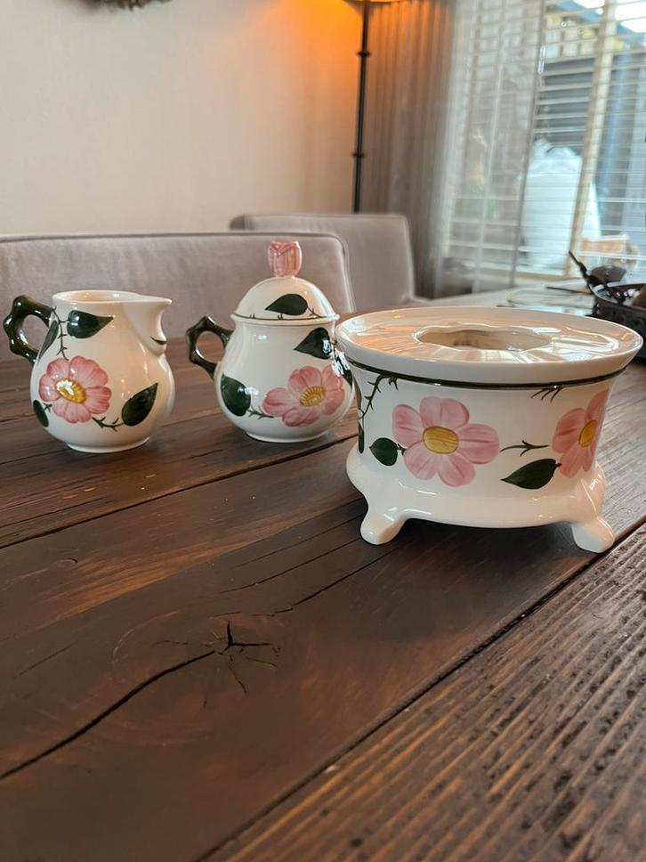 Villeroy & Boch Wild-Rose!, Huis en Inrichting, Keuken | Servies, Zo goed als nieuw, Overige typen, Overige stijlen, Aardewerk