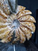 Geslepen ammoniet op standaard, Antiek en Kunst, Ophalen of Verzenden