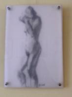 Atelierverkoop : naakt achter  mat plexiglas, Ophalen