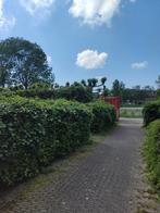 Tuinman in regions Amsterdam Alkmaar bergen purmerend Horn.