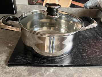 Grote braadpan/stoofpan met deksel Ø 25cm # RVS beschikbaar voor biedingen